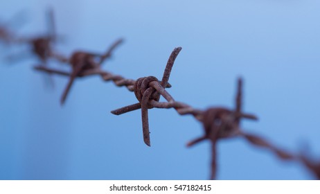 Rusty barbed wire with blue background.