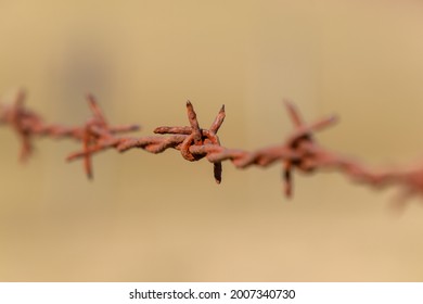 Rusty barbed wire, close up of a single strand on a fence post