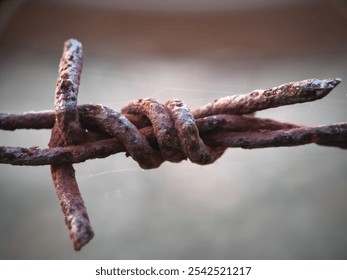 rusty barbed wire fence with blur background - Powered by Shutterstock