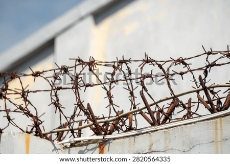 Rusty barbed wire installed on a concrete wall, typically used for security or demarcation. The background shows a plain, light-colored concrete structure under a clear sky.