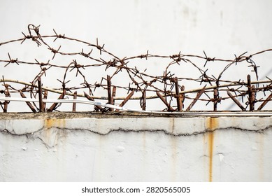Rusty barbed wire installed as a security barrier on a concrete wall. The barbed wire is made with sharp points arranged at regular intervals along its strands to serve as a security barrier or barrier.