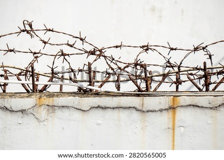 Rusty barbed wire installed as a security barrier on a concrete wall. The barbed wire is made with sharp points arranged at regular intervals along its strands to serve as a security barrier or barrier.
