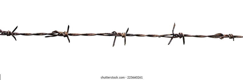 Rusty barbed wire isolated  - Shutterstock ID 223660261