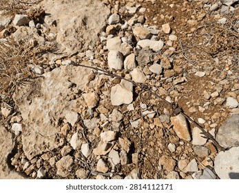 Rusty barbed wire lying on dry rocky ground