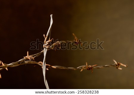 rusty barbed wire on the dark background