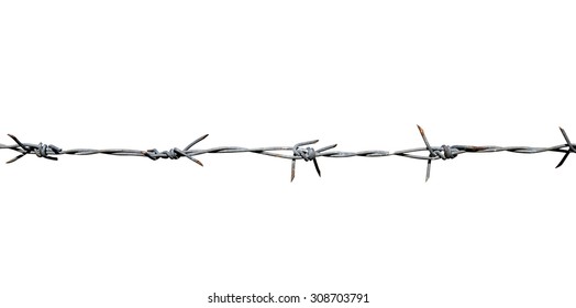 Rusty barbed wire on white background - Shutterstock ID 308703791