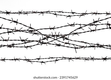Rusty barbed wire splits on a white background.