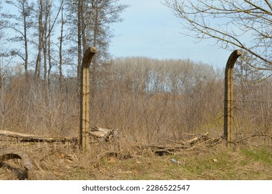 rusty barbed wire, torn, former fenced military zone, currently unused zone, overgrown with trees