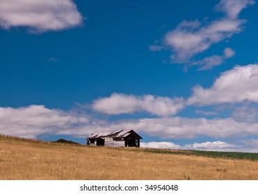 Rusty Barn Sits Alone In A Field In Hawkes Bay, NZ