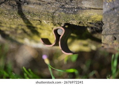 A rusty, bent metal hook or hinge on an old, weathered piece of wood