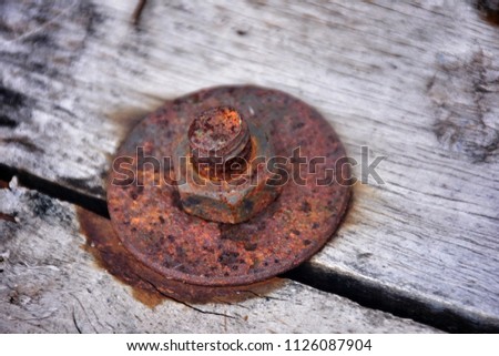 Rusty bolt and screw - nut close up on old wood