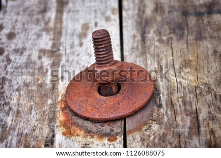 Rusty bolt and screw - nut close up on old wood