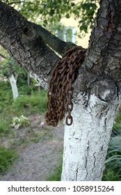 Rusty chain on the tree