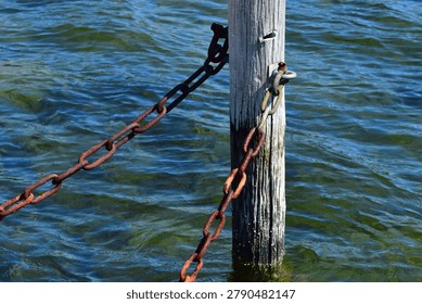 Rusty chains attached to an aged grey pole standing in blue shallow water at seaside hold things in place. Close up. Landscape format, wallpaper background. Copy space. 