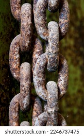                     Rusty chains hang from the ceiling           