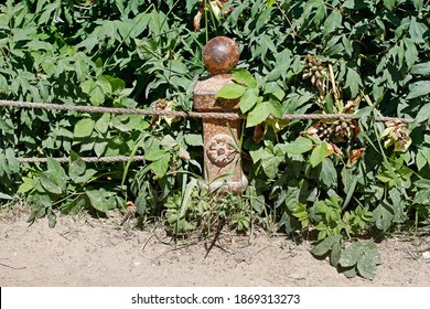 Rusty Decorative Fence Post With Old Rope