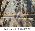 A rusty drain stretching across the base of a driveway.