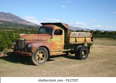 Rusty Dump Truck Parked On A Commercial Christmas Tree Farm Open For Business