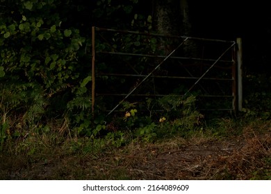 rusty fence of a forest entrance in lowlight sunset in england's countryside.