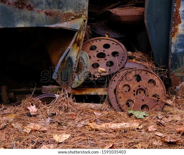 Rusty Gears in Woods from\
Junk Cars