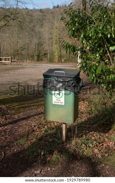 Rusty Green Metal Dog Waste Bin in a Rural Woodland\
Car Park on a Bright Sunny Winter Day in the Devon Countryside,\
England, UK