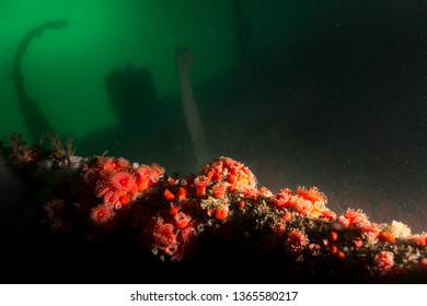 Rusty guns and main structure of HMCS Yukon in San Diego