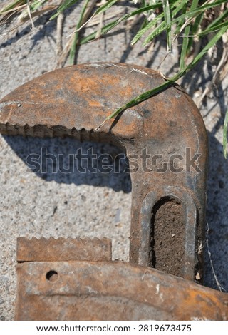 Rusty head on an old tool