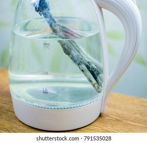 A Rusty, Heated, Scaled Element In An Electric Glass Teapot. The Concept Of  Limescale On The Heating Elements Of Household Appliances.