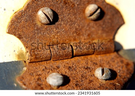 Rusty hinge close up. Rust. Rusted. Texture. Color. Flathead screws. Corrosion. Grunge. Grungy. Weathered. Old. 