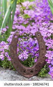 A Rusty Horseshoe In Front Of A Lots Of Purple Spring Flowers