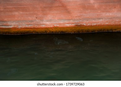 Rusty Hull Of The Ship On Waterline In Water.