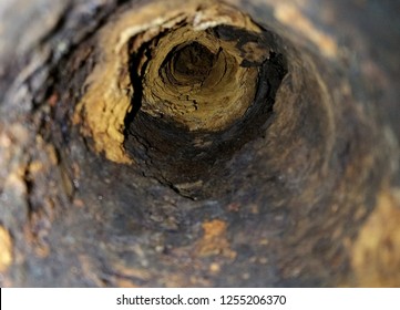 the rusty insides of an old sewer pipe
