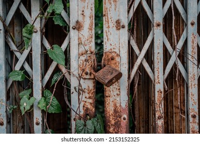 Rusty master key locked on grunge iron gate with ivy - Powered by Shutterstock