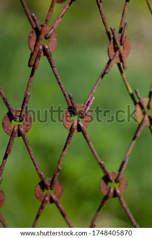 Rusty mesh closeup on a dark background of green leaves