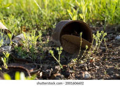 Rusty Metal Can In The Toss Hall Where Ash And Coal Are Left From The Fire