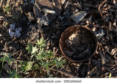 Rusty Metal Can In The Toss Hall Where Ash And Coal Are Left From The Fire