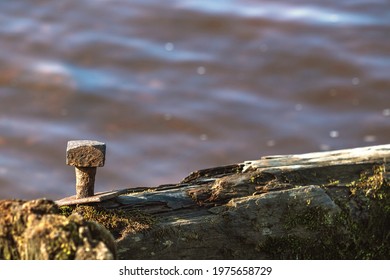 Rusty metal nail in an old pile on the background of water. Close-up