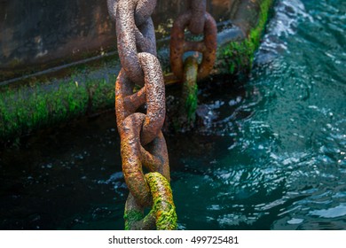 Rusty and mossy ship anchor chain on dry coast in the port