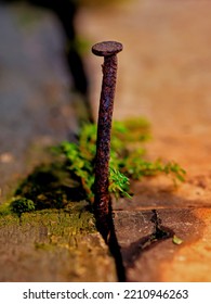 A Rusty Nail Is Stuck Between Two Walls.