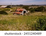 Rusty old barn in a field with wildflowers