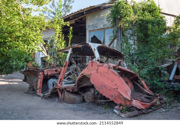 rusty old car wreck in a\
backyard