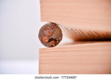 rusty old clock mechanism between book pages, concept
