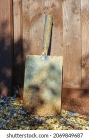 A Rusty Old Garden Spade With No Handle. Broken Garden Tool Leaning Against Fence. 