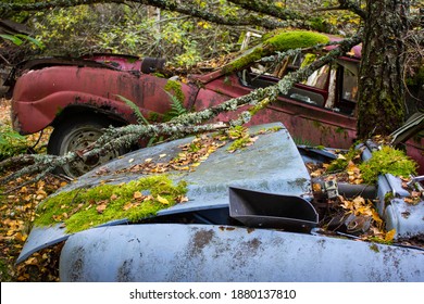 Rusty Old Vintage Cars, Some With Missing Doors And Windows, Bastnäs, Car Cemetry, Damaged Cars In Sweden Close To Norway