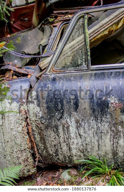 rusty old vintage cars, some with missing doors\
and windows, Ivan\'s Junk Yard, Car Cemetry, damaged cars in Sweden\
close to norway
