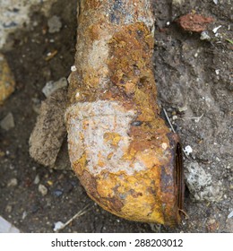 rusty pipes 