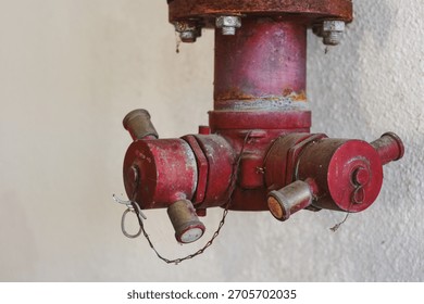 A rusty red fire hydrant valve mounted on a wall.