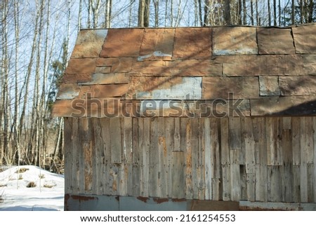 Rusty roof of house in woods. Old roof of house. Metal upholstery and plank wall. Forest refuge.
