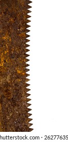 rusty saw blade on white background