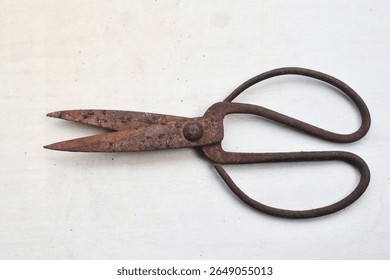 rusty scissors on a white background